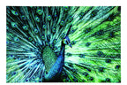 J-Line Wanddecoratie pauw - glas - blauw/groen