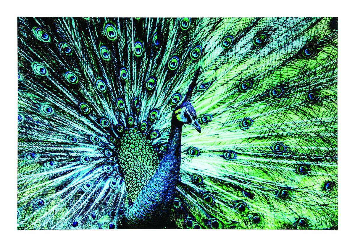 J-Line Wanddecoratie pauw - glas - blauw/groen