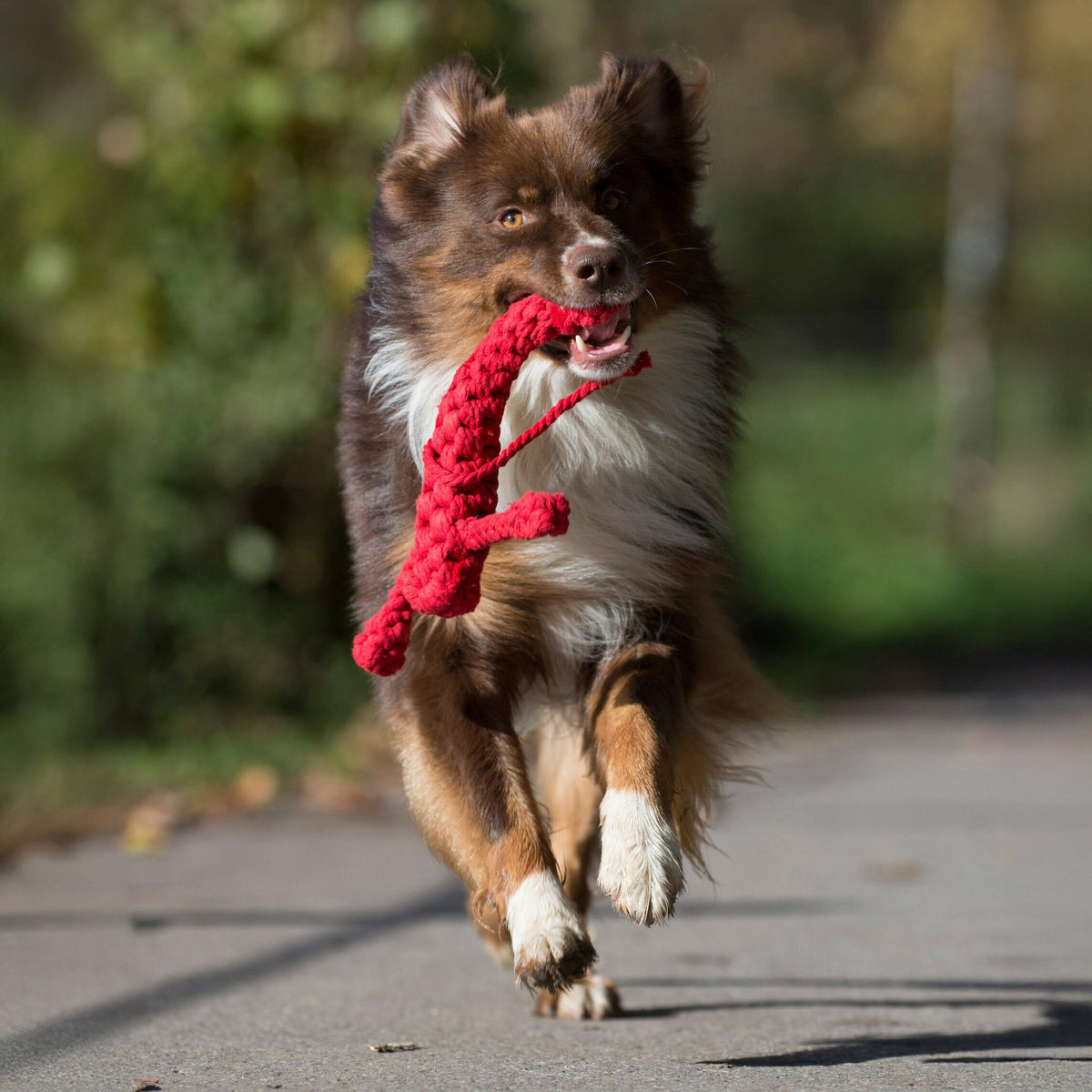 Hugo Hummer - cultspeelgoed voor honden