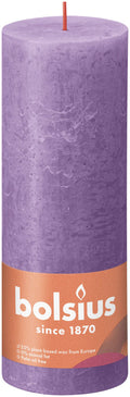 Shine rustiekkaars 190/68 Vibrant Violet