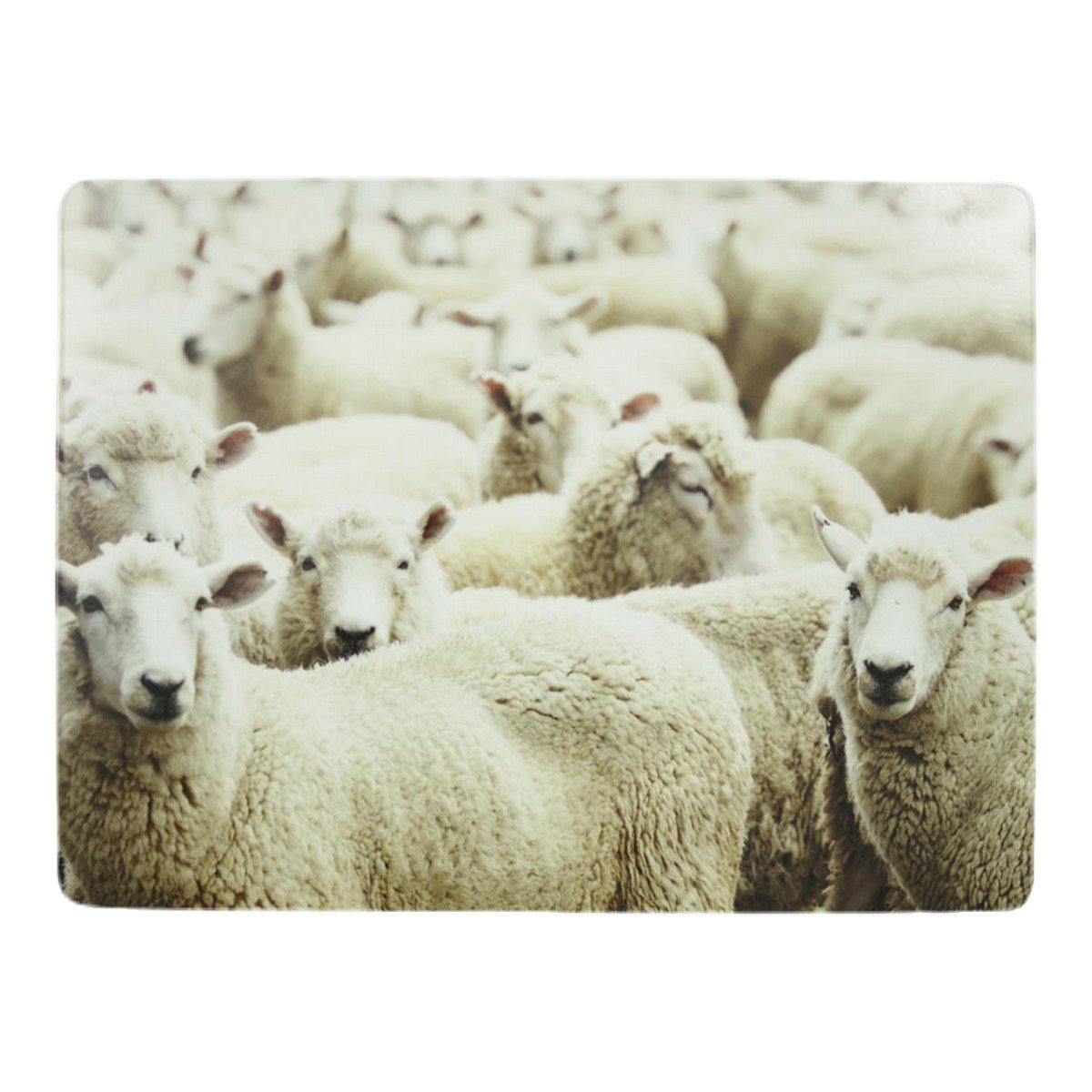 Placemat schapen 30x40cm (4)