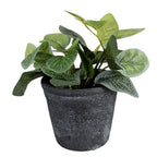 Bloempot Ø 12x10 cm Grijs Keramiek Bloempot Binnen