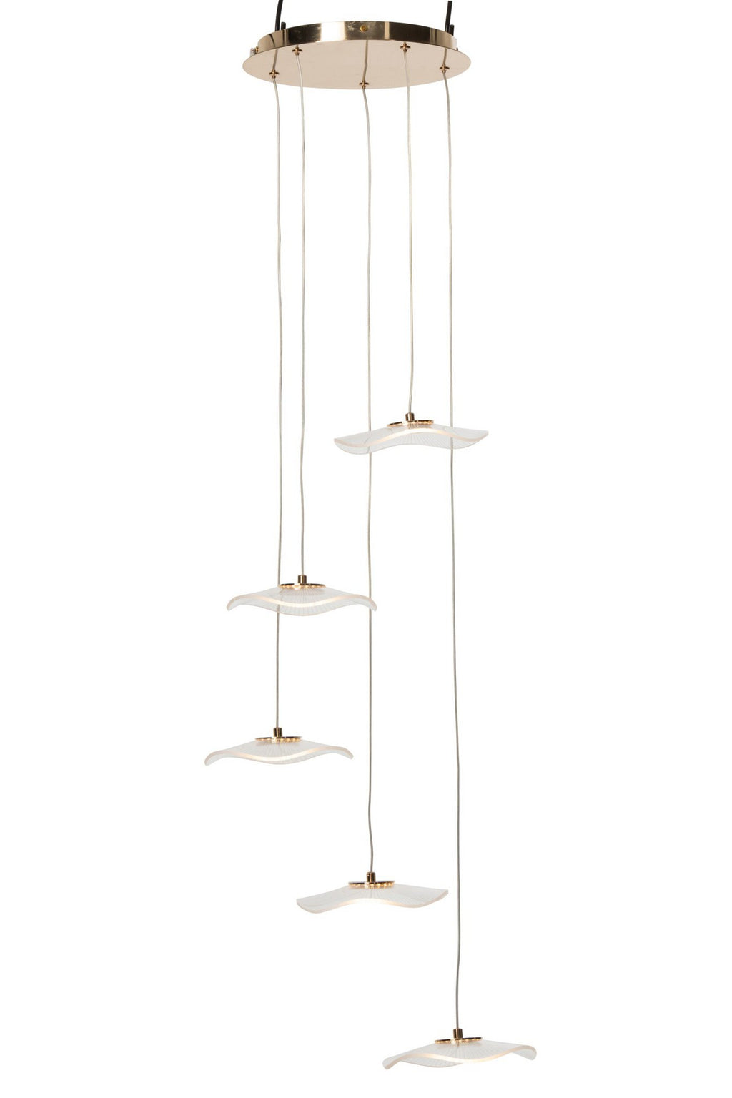 J-Line plafondlamp bloem - acryl - goud - large