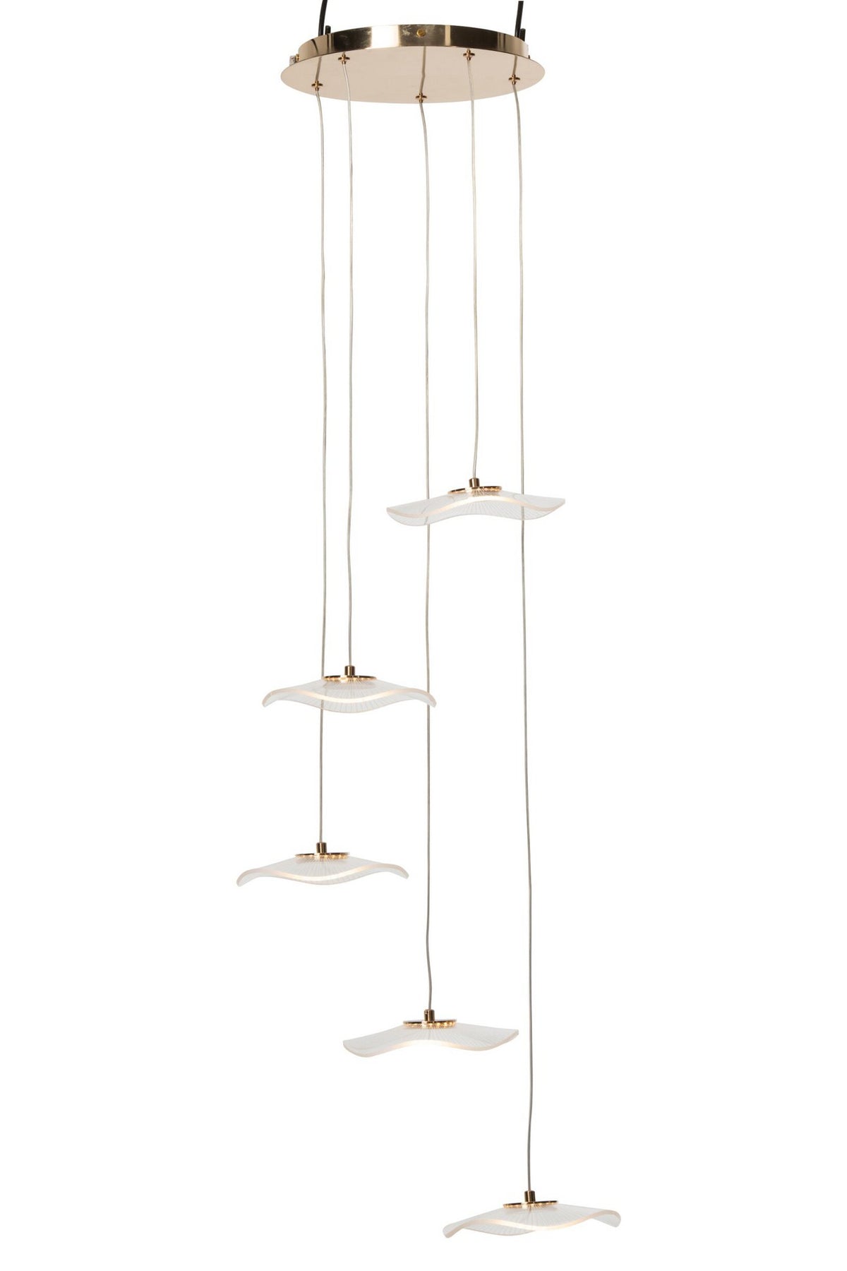 J-Line plafondlamp bloem - acryl - goud - large
