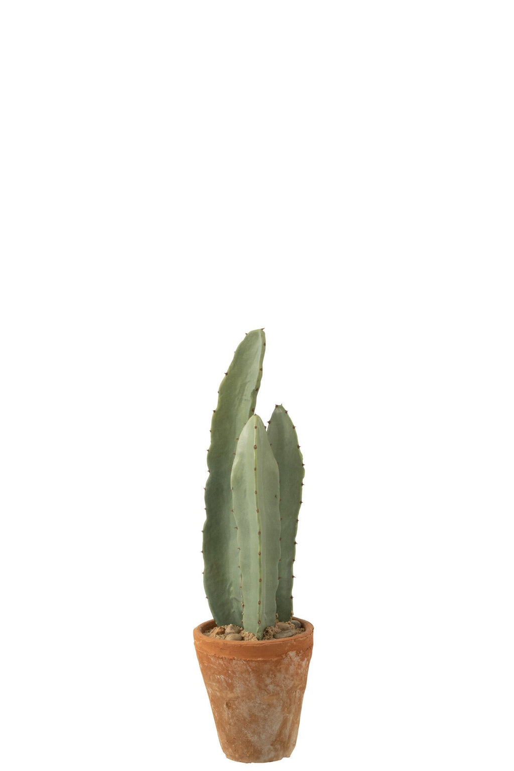 J-Line Cactus 3 Stuks In Pot Kunststof Groen Klein
