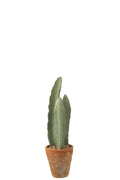 J-Line Cactus 3 Stuks In Pot Kunststof Groen Klein