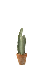 J-Line Cactus 3 Stuks In Pot Kunststof Groen Klein