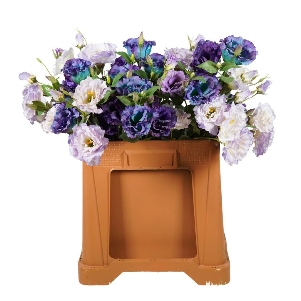 Lysianthus Kunsttak 60cm paars