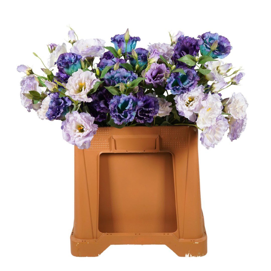 Lysianthus Kunsttak 60cm paars