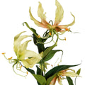 Gloriosa kunstmatige spray 75 cm geel
