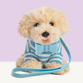 Studio Pets blauwe halsband om te knuffelen