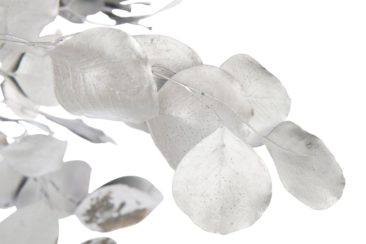 J-Line Droogbloemen Eucalyptus - Rieten - Zilver