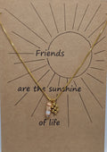 Ketting snake met bedeltje en edelsteen hanger