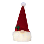 Kerstdecoratie met LED-verlichting Kabouter 10x10x25 cm / 3xAA Rood Synthetisch
