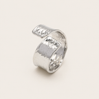 CassisRING