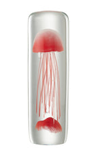 J-Line presse-papier Kwal cilinder - glas - rood