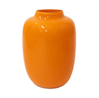 Vaas - Artic dark orange