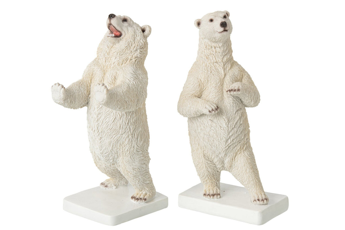 J-Line Boekensteunen beer - polyresin - wit - set van 2