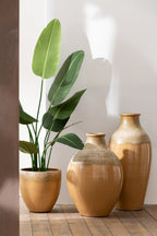 J-Line Strelitzia Plastiek Groen Small