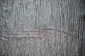 Deco Katinka grey 150 cm x 2,5 meter