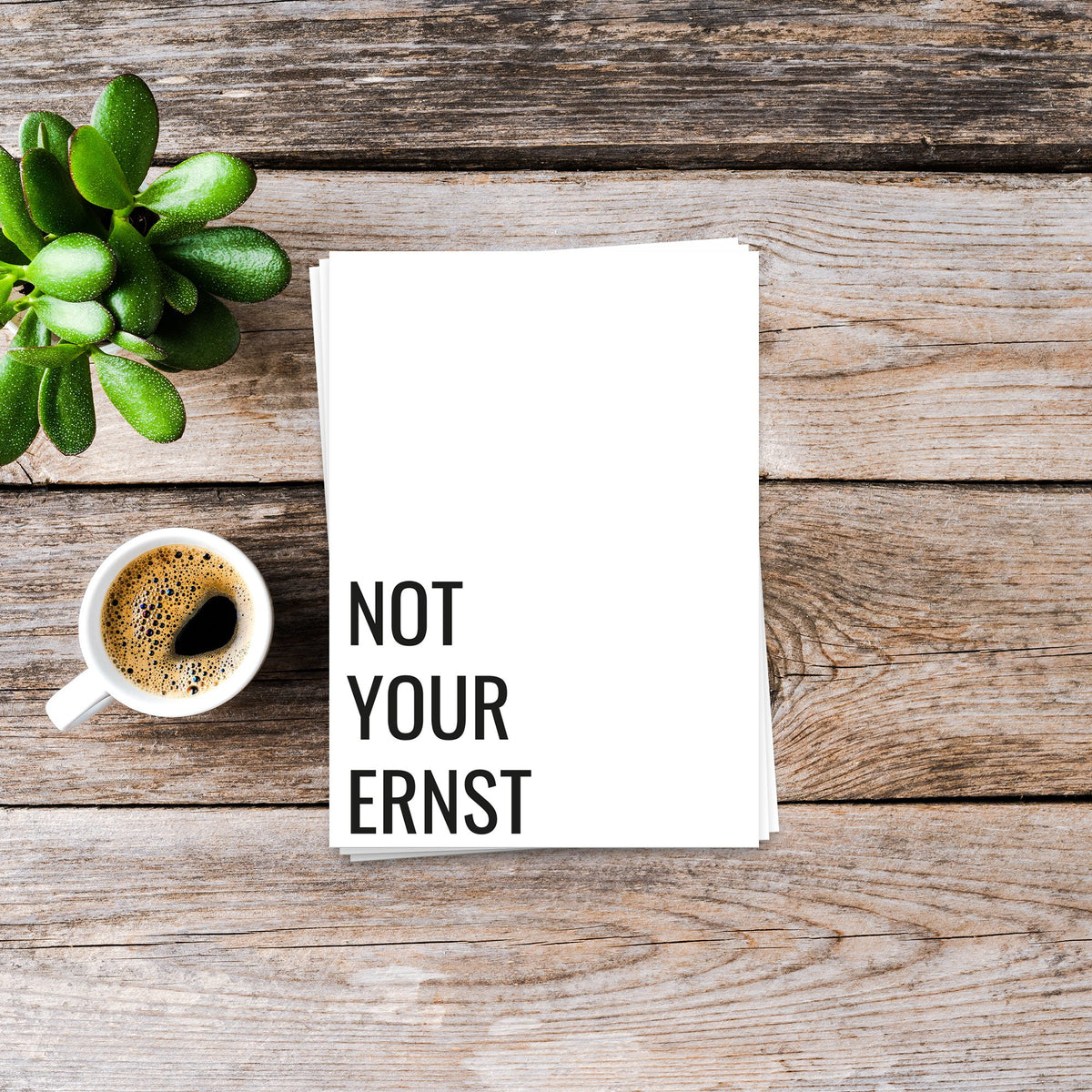Niet uw Ernst - ansichtkaart 10 set