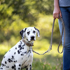 Giro leren halsband voor honden