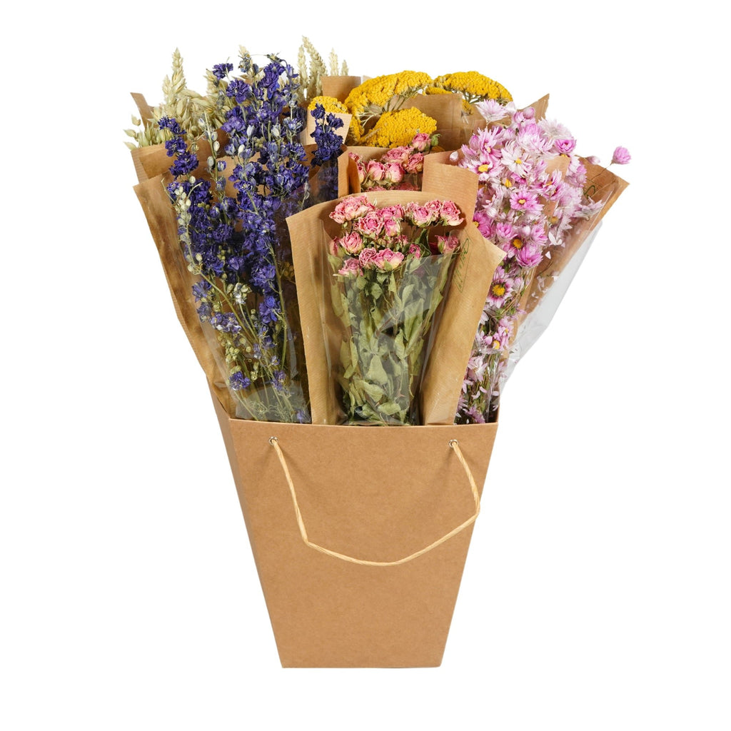 Gedroogde bloemen Mono Bunches - Multi