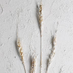 Schilderij Alaminos Wit 33x93 cm