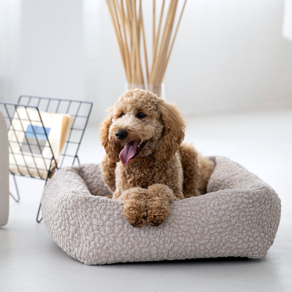 Bellagio Ortho | Premium orthopedisch hondenbed