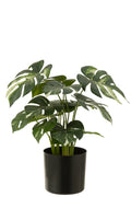 J-Line Monstera in pot - kunststof - groen
