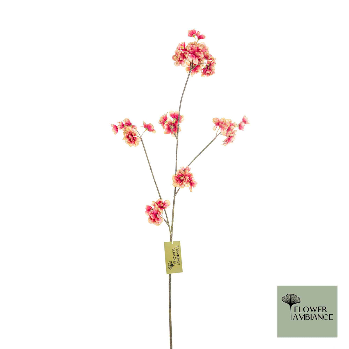 Prunus malaga burgundy beige 84cm