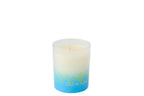 J-Line geurkaars Oasis - Spring Ivy & Neroli - poly - blauw/groen - S