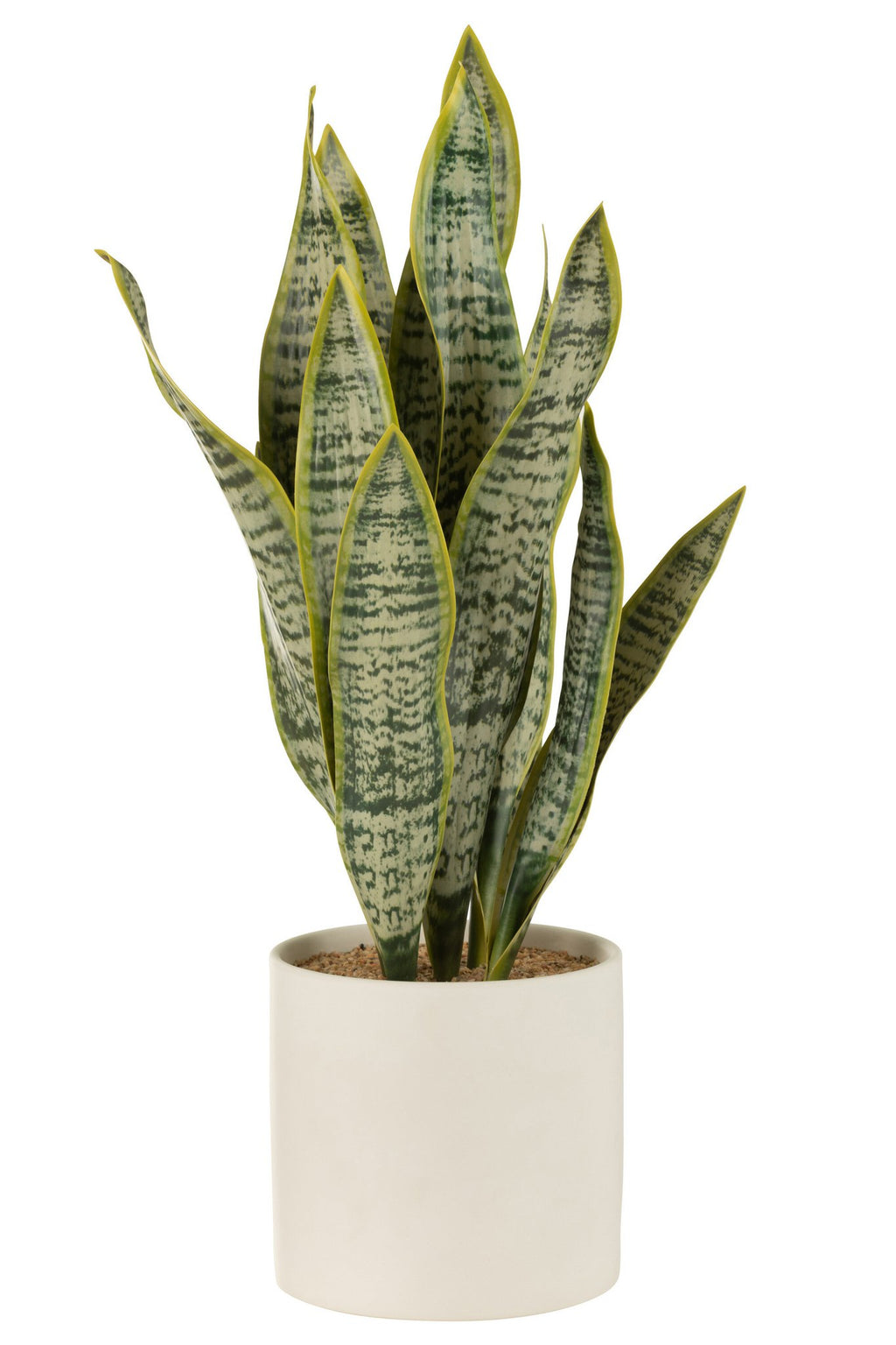 J-Line plant Sansevieria In Pot - kunststof - groen - extra large
